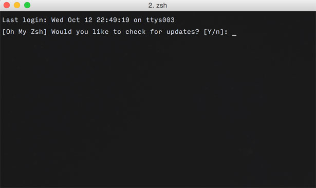 oh-my-zsh auto-update prompt