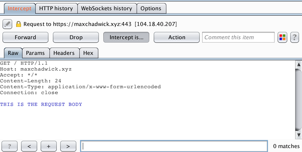 Screenshot showing request intercepted in Burp Suite