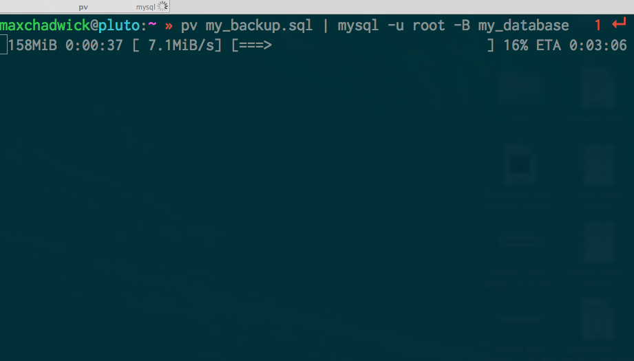 Example of running pv command in terminal